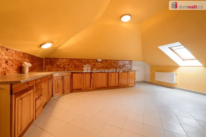 Prodej rodinného domu, Mladá Boleslav, Viničná, 350 m2