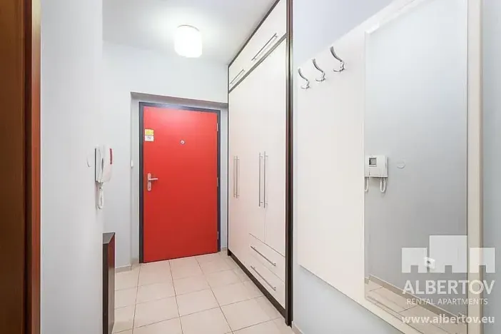 Pronájem bytu 1+kk, Praha - Nusle, Sekaninova, 33 m2