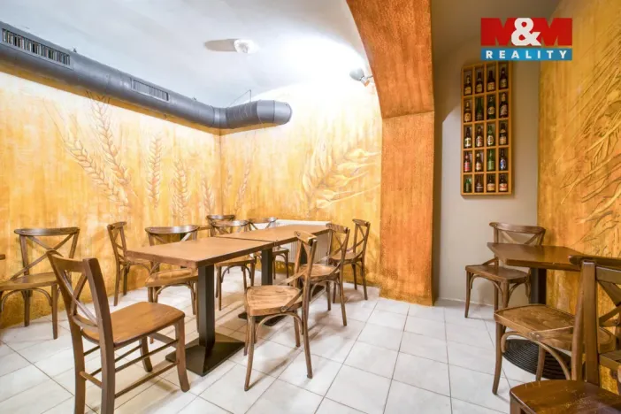 Pronájem restaurace, Plzeň - Jižní Předměstí, Americká, 102 m2