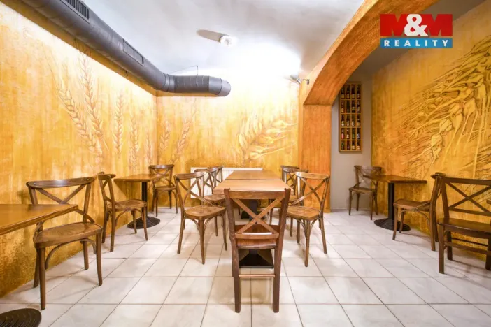 Pronájem restaurace, Plzeň - Jižní Předměstí, Americká, 102 m2