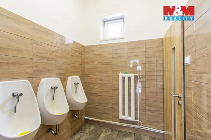 Prodej restaurace, Slezské Rudoltice, 360 m2