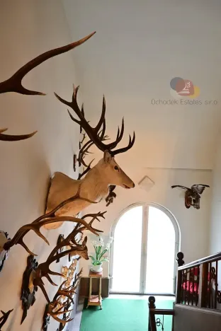 Prodej rodinného domu, Domašov nad Bystřicí, Nádražní, 640 m2