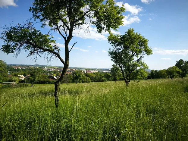 Prodej pozemku pro bydlení, Lovosice, Lhotecká, 9072 m2