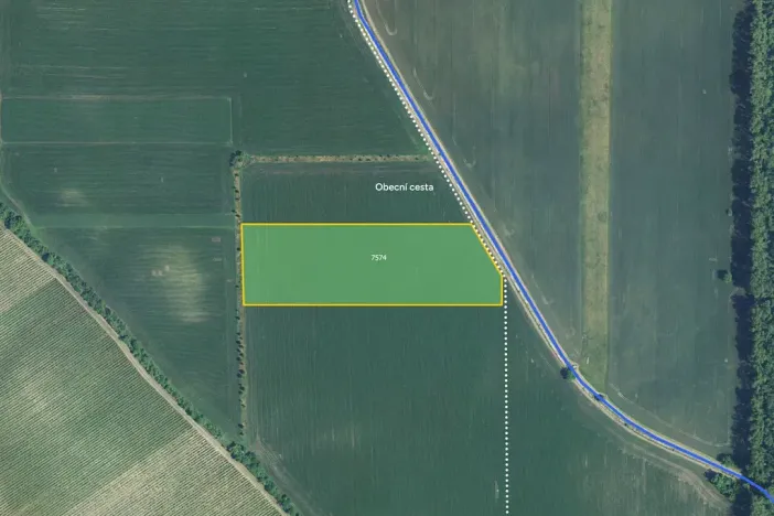 Prodej pole, Dolní Dunajovice, 29603 m2