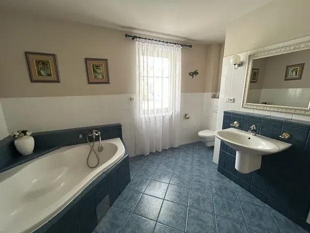 Pronájem rodinného domu, Písek, V Lukách, 400 m2