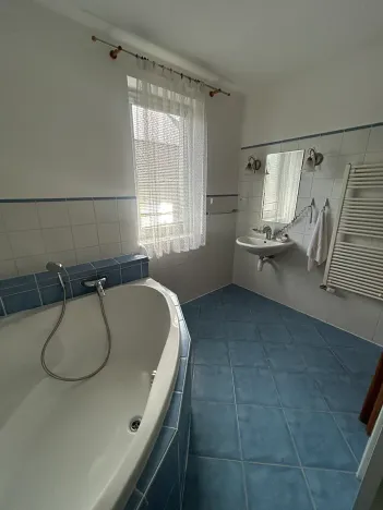 Pronájem rodinného domu, Písek, V Lukách, 400 m2