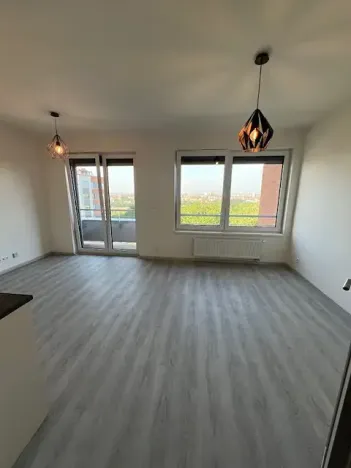 Pronájem bytu 1+kk, Praha - Chodov, Šternovská, 42 m2