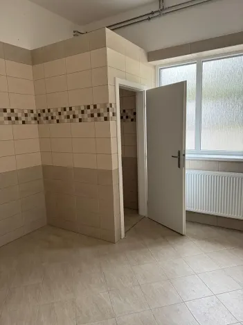 Pronájem skladu, Ostrov, 150 m2