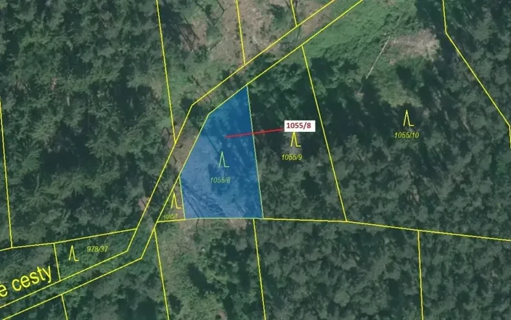 Dražba lesa, Milavče, 546 m2