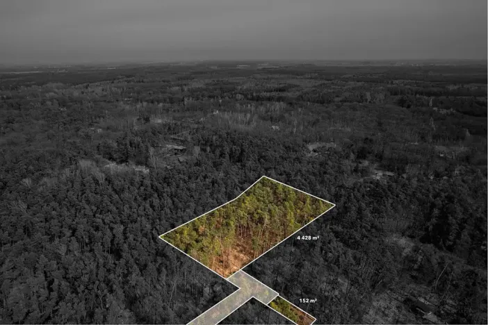 Prodej pozemku pro bydlení, Hradištko, Kersko, 4428 m2