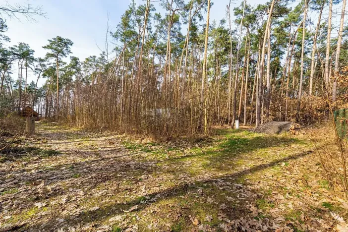 Prodej pozemku pro bydlení, Hradištko, Kersko, 4428 m2