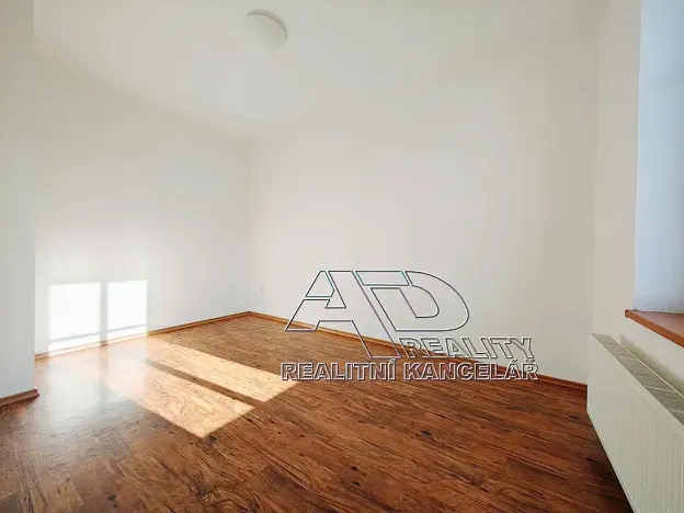 Pronájem bytu 2+1, České Budějovice, L. B. Schneidera, 54 m2