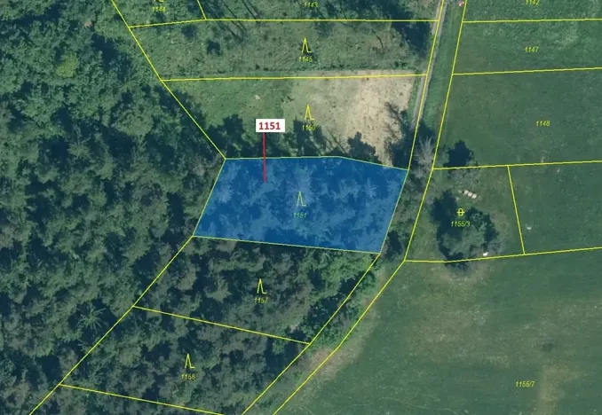 Dražba lesa, Zavlekov, 1331 m2