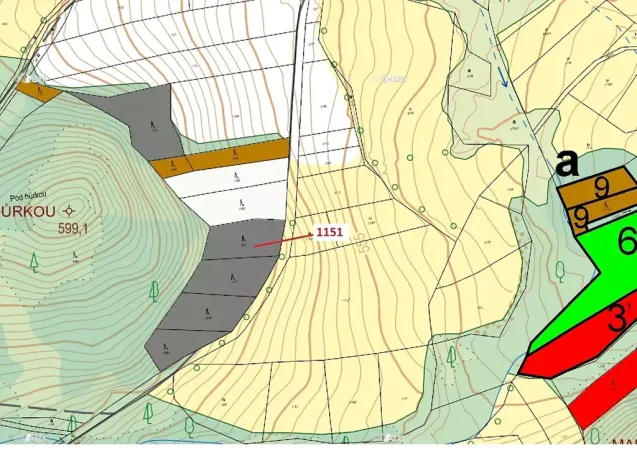 Dražba lesa, Zavlekov, 1331 m2