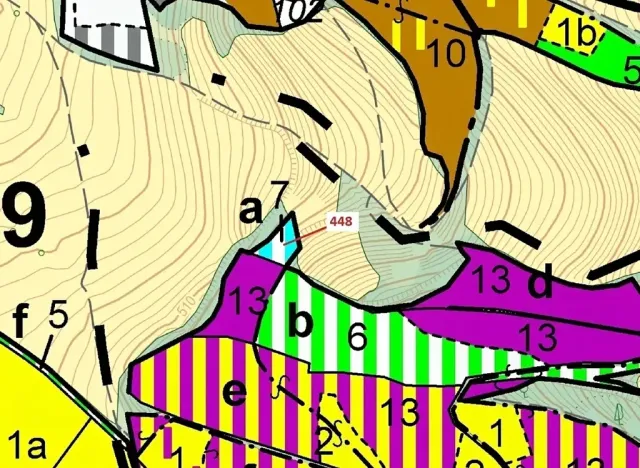 Dražba lesa, Městečko Trnávka, 586 m2