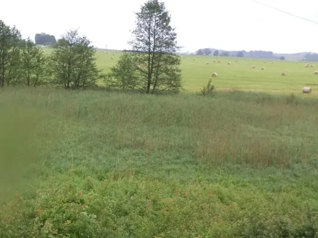 Dražba pozemku, Jablonné v Podještědí, 4685 m2