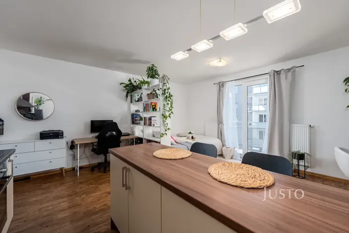 Prodej bytu 1+kk, České Budějovice, Husova tř., 36 m2