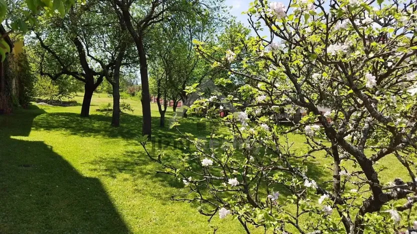 Prodej rodinného domu, Vyšší Brod, 250 m2