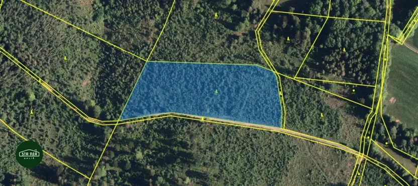 Prodej lesa, Krásná, 91919 m2
