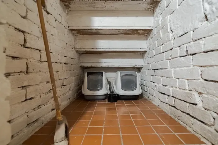 Prodej rodinného domu, Polička, 150 m2