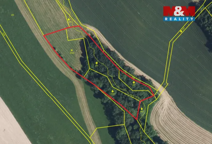 Prodej lesa, Košťálov - Kundratice, 11072 m2