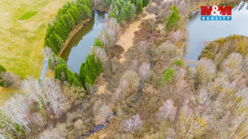 Prodej rybníku, Dvory nad Lužnicí, 8649 m2