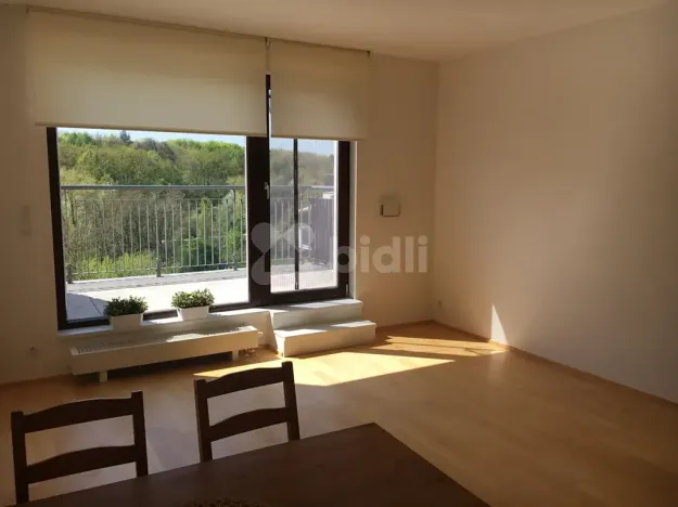 Pronájem bytu 2+kk, Praha - Hloubětín, Nademlejnská, 47 m2