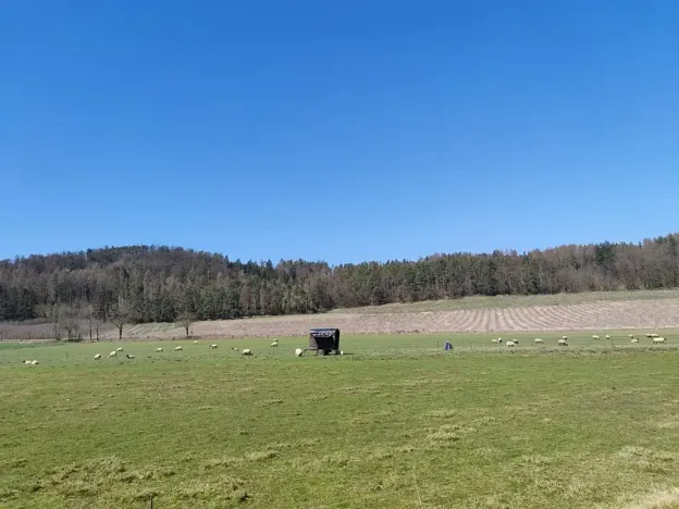 Prodej pozemku pro bydlení, Horažďovice, 2250 m2