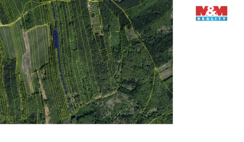 Prodej lesa, Luhačovice, 13296 m2