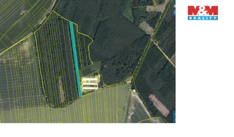 Prodej lesa, Městec Králové, 8906 m2