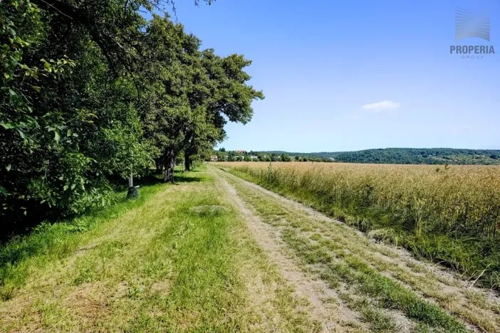 Prodej pozemku pro bydlení, Viničné Šumice, 1156 m2