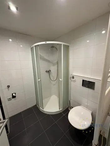 Pronájem bytu 2+kk, Praha - Nusle, Na Pankráci, 45 m2