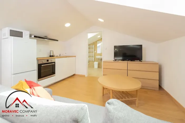 Pronájem apartmánu, Ostrava, Cihelní, 54 m2