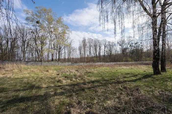 Prodej pozemku, Žarošice, 19082 m2