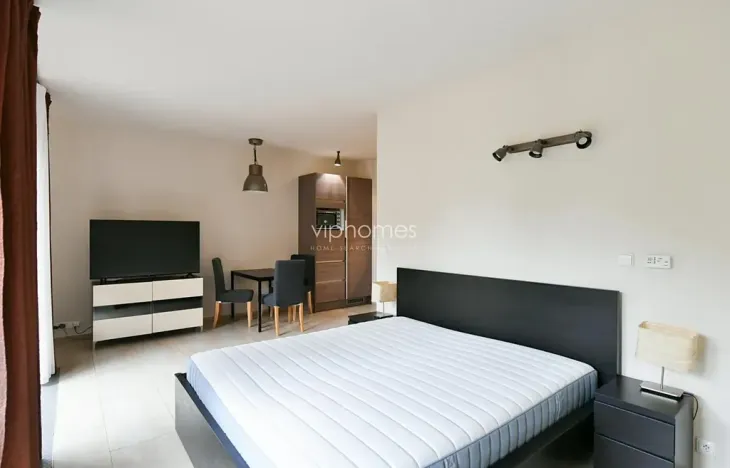 Pronájem bytu 1+1, Praha - Bubeneč, Mlýnská, 36 m2