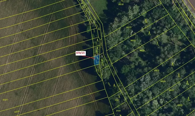 Dražba lesa, Přísnotice, 60 m2