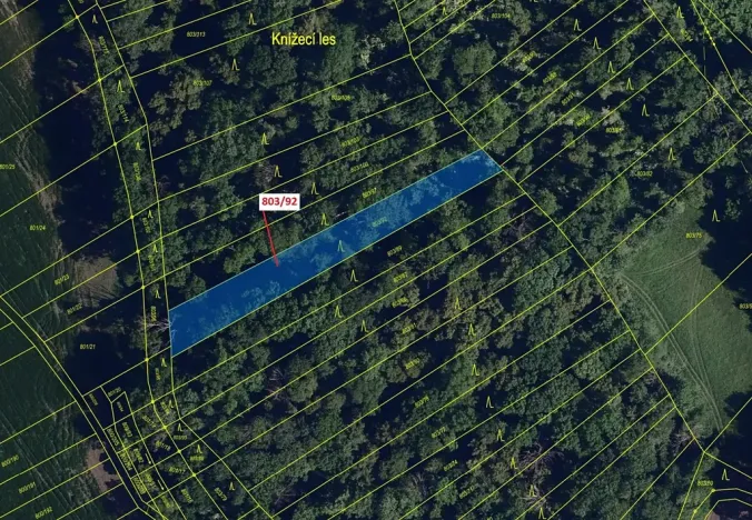 Dražba lesa, Přísnotice, 1778 m2