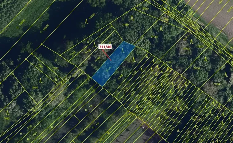 Dražba lesa, Přísnotice, 569 m2