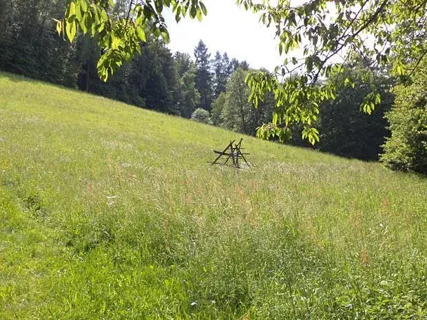 Dražba louky, Dolní Dobrouč, 4634 m2