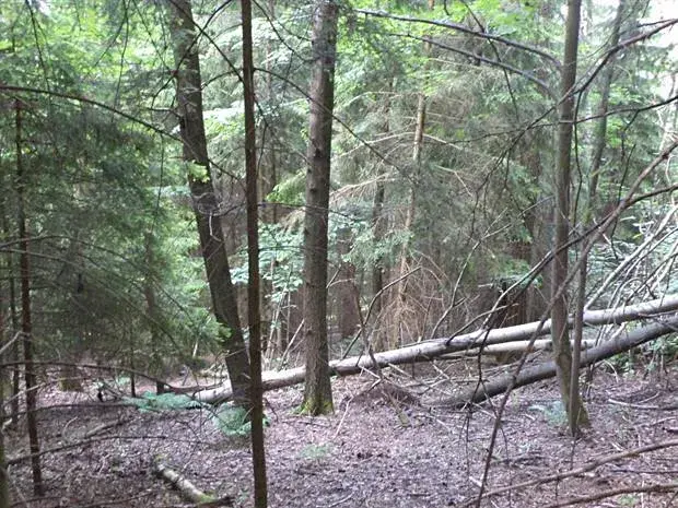 Dražba louky, Dolní Dobrouč, 4634 m2