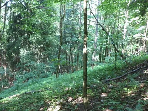 Dražba louky, Dolní Dobrouč, 4634 m2