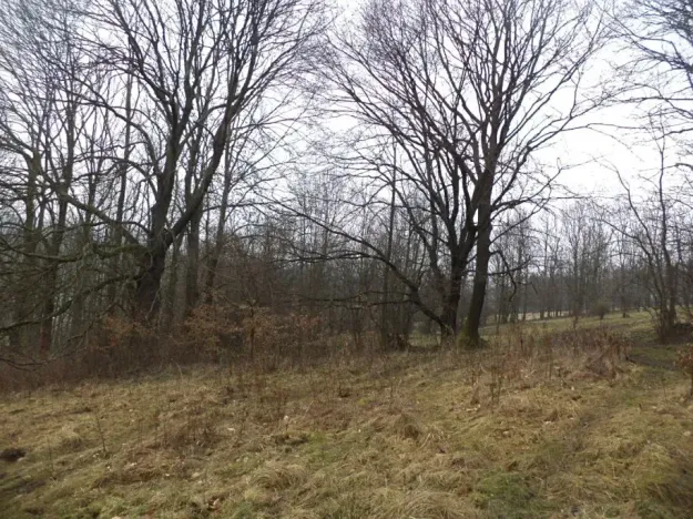 Dražba pozemku, Česká Kamenice, 5161 m2