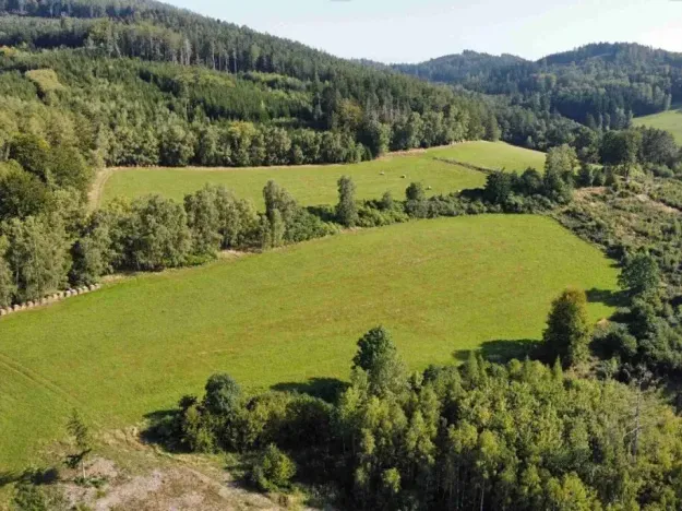 Dražba louky, Chlistov, 4212 m2