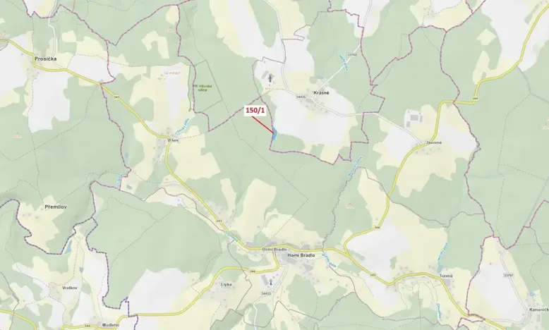 Dražba lesa, Krásné, 6169 m2