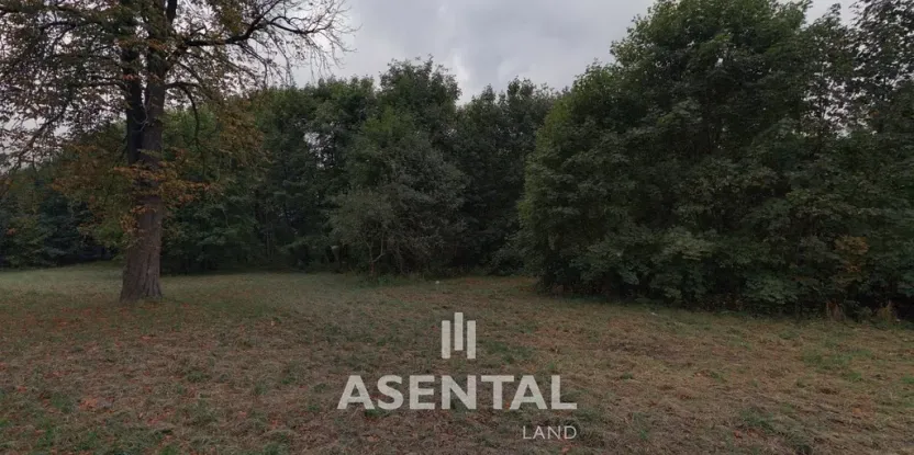 Prodej pozemku, Orlová - Poruba, Závodní, 12324 m2