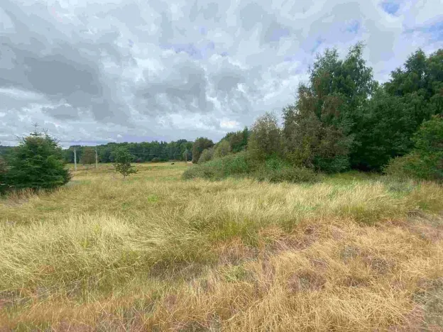 Prodej pozemku, Aš, 2675 m2