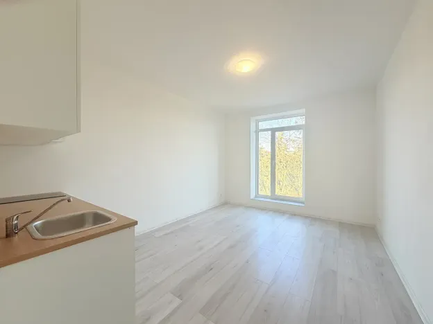 Pronájem bytu 1+kk, Milovice - Mladá, Slepá, 23 m2