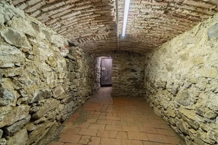 Prodej chaty, Hvožďany, 260 m2