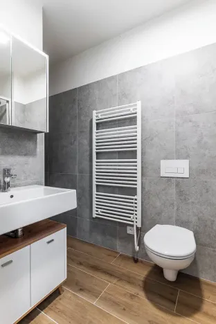 Pronájem bytu 2+kk, Brno, Boženy Němcové, 35 m2