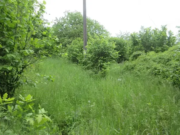 Prodej pozemku, Čížová, 2006 m2